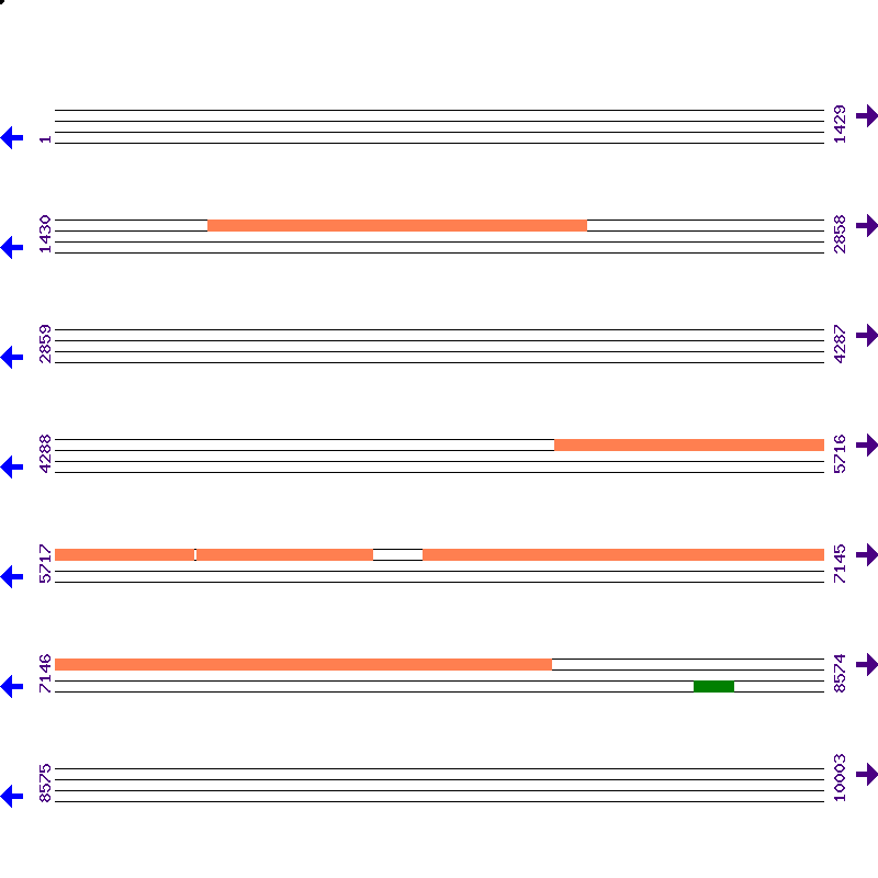 Genome View