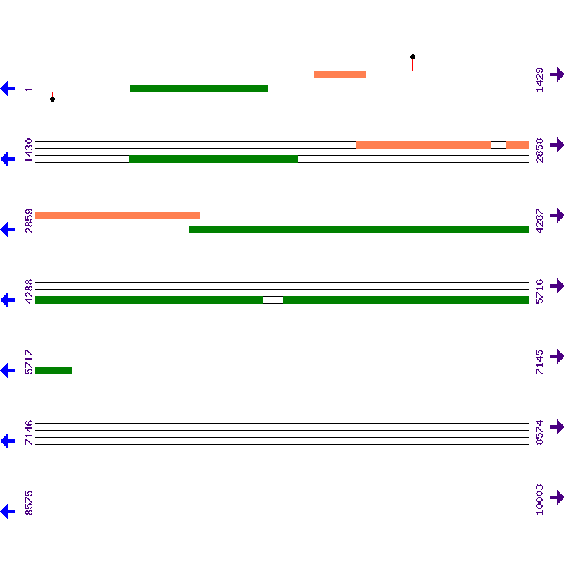 Genome View