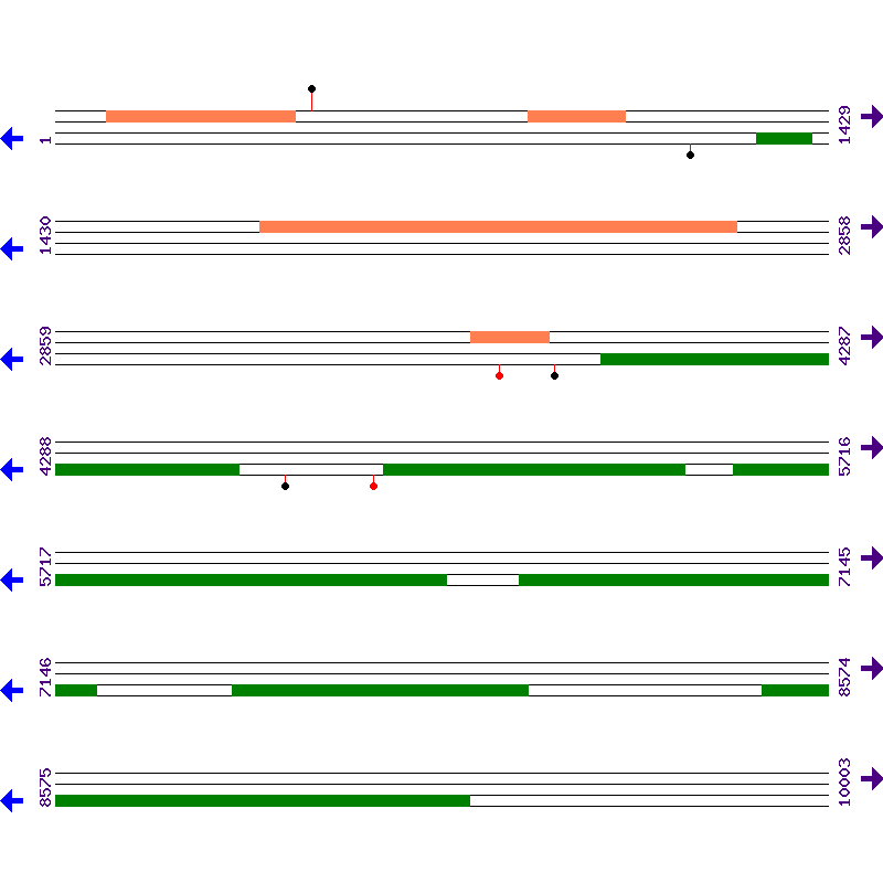 Genome View