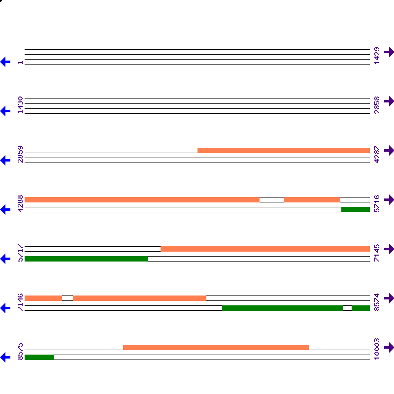 Genome View