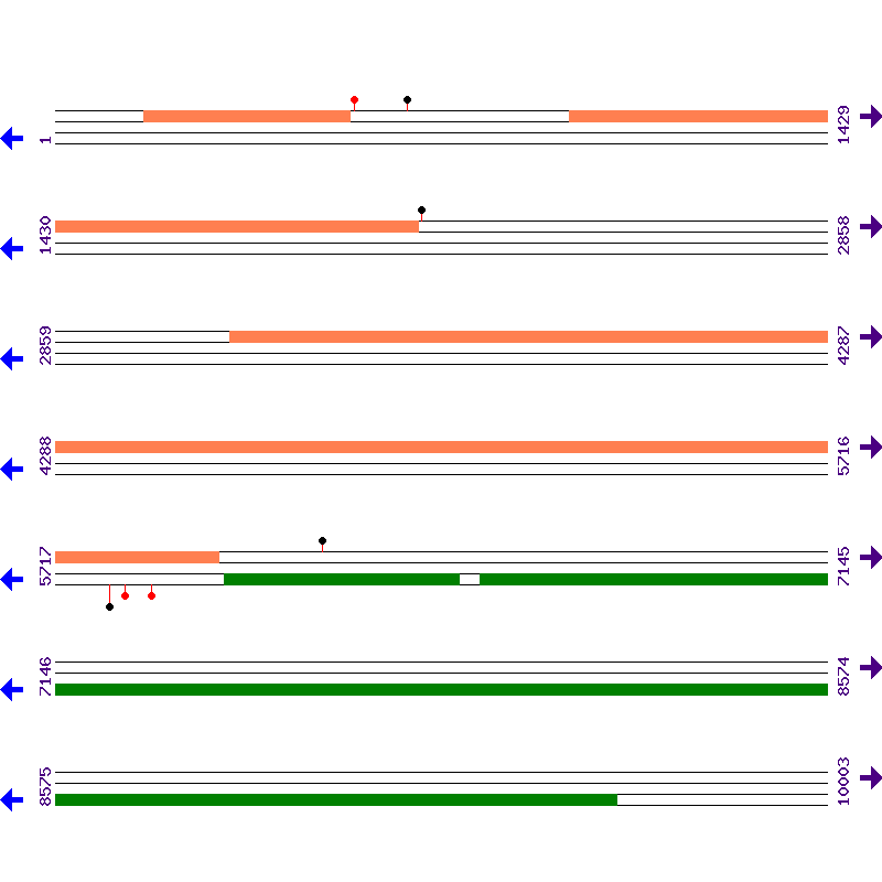 Genome View