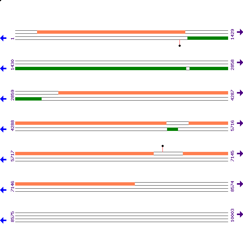 Genome View