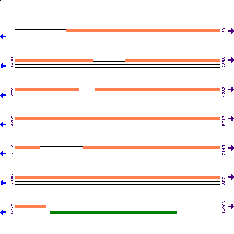 Genome View