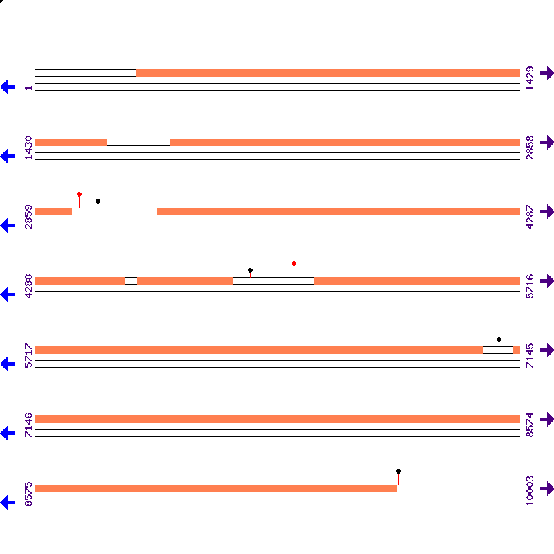 Genome View