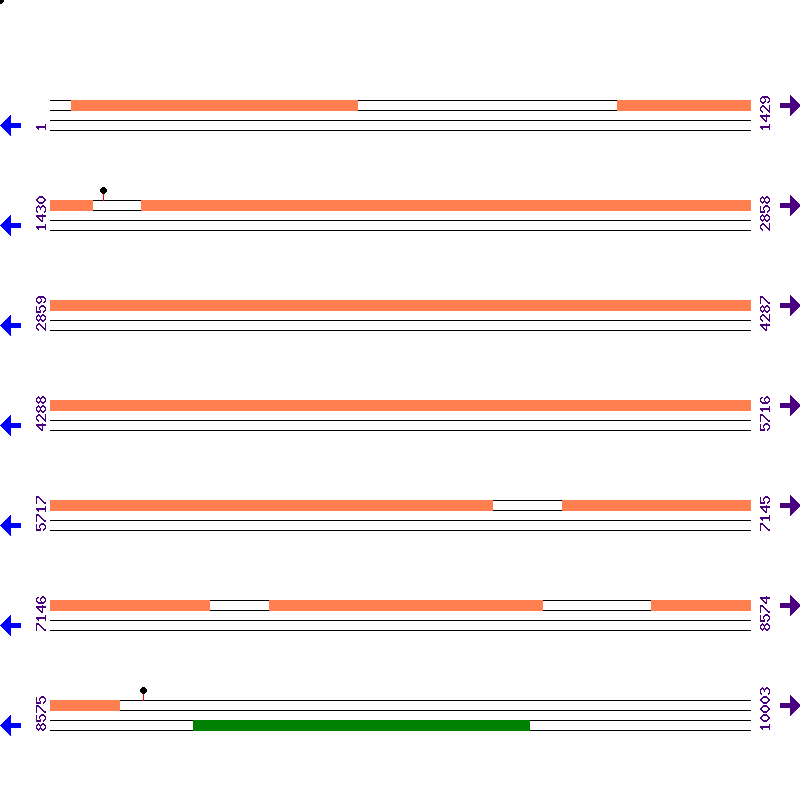 Genome View
