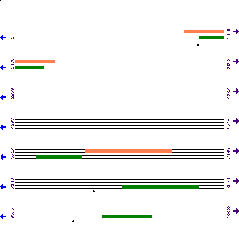 Genome View