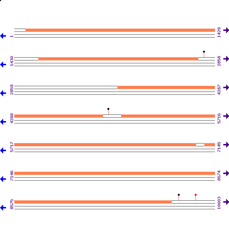 Genome View