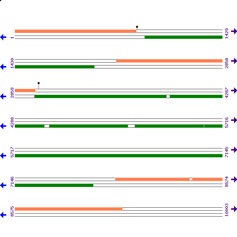Genome View