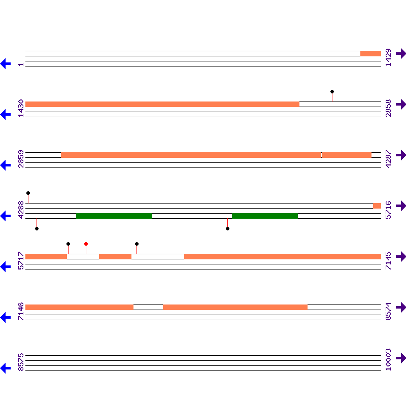 Genome View