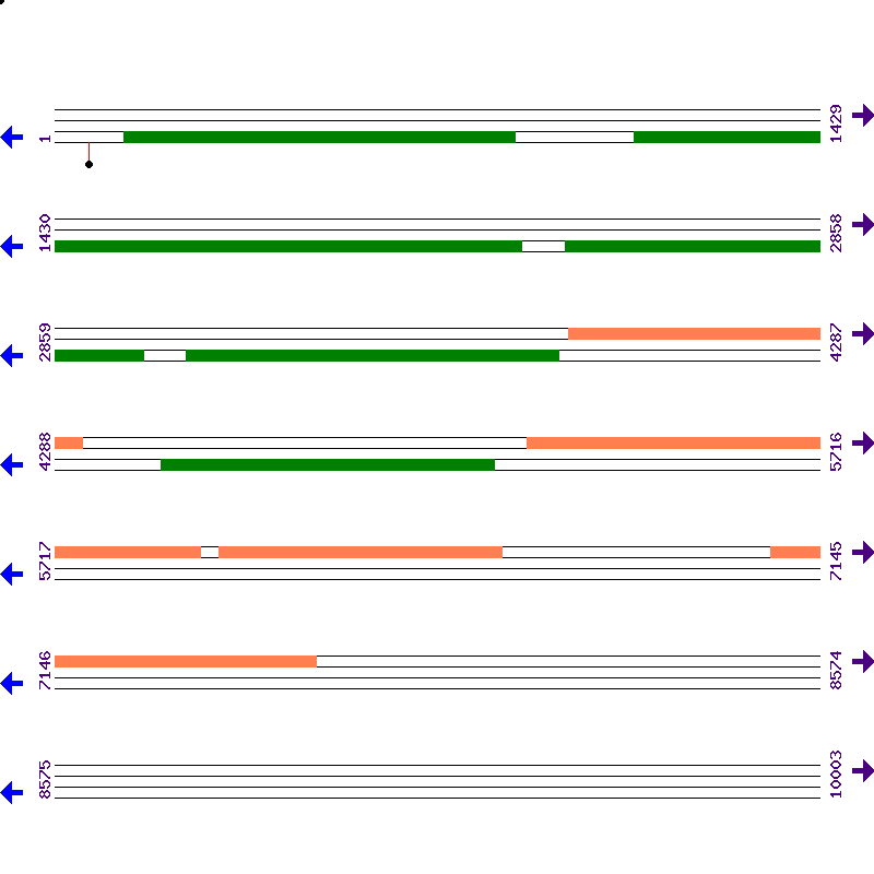 Genome View
