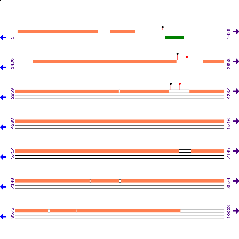 Genome View
