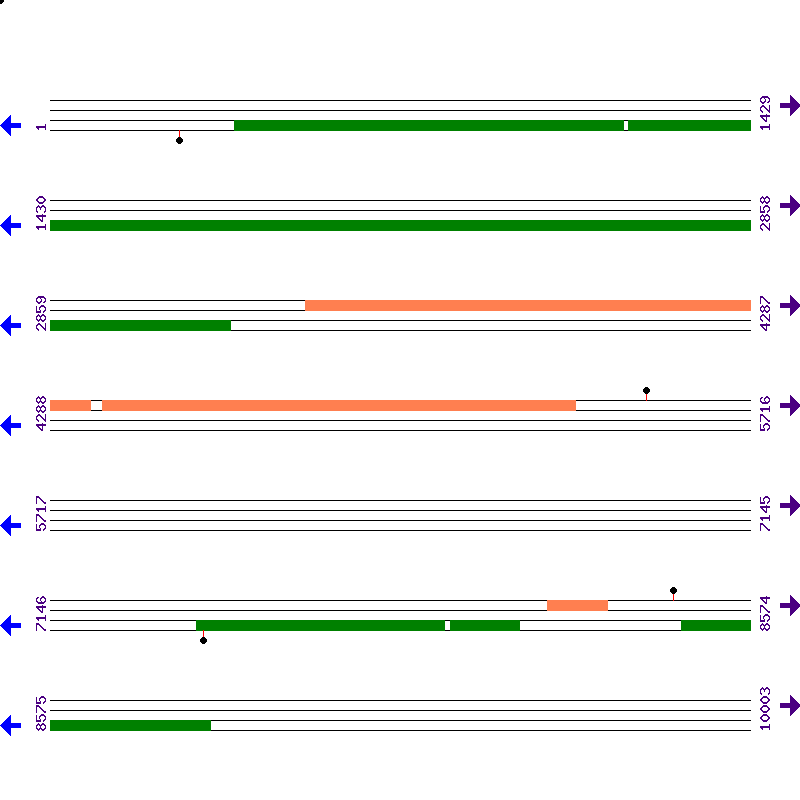 Genome View