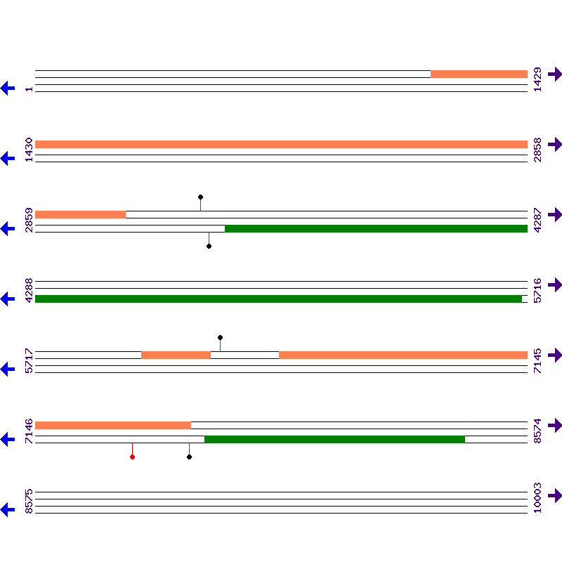 Genome View