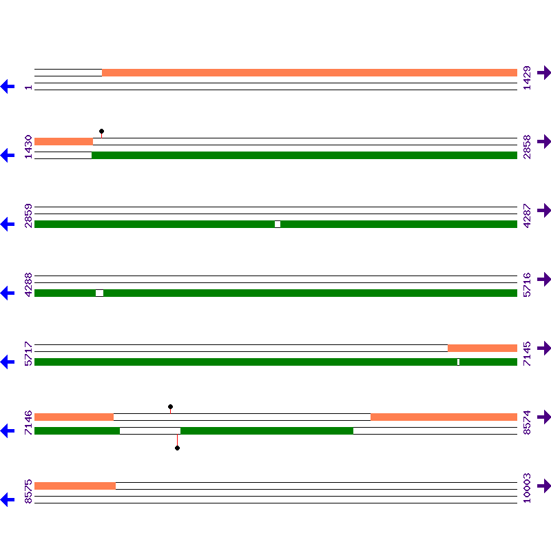 Genome View