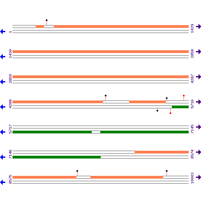 Genome View