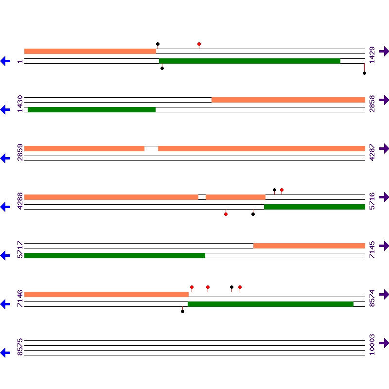 Genome View