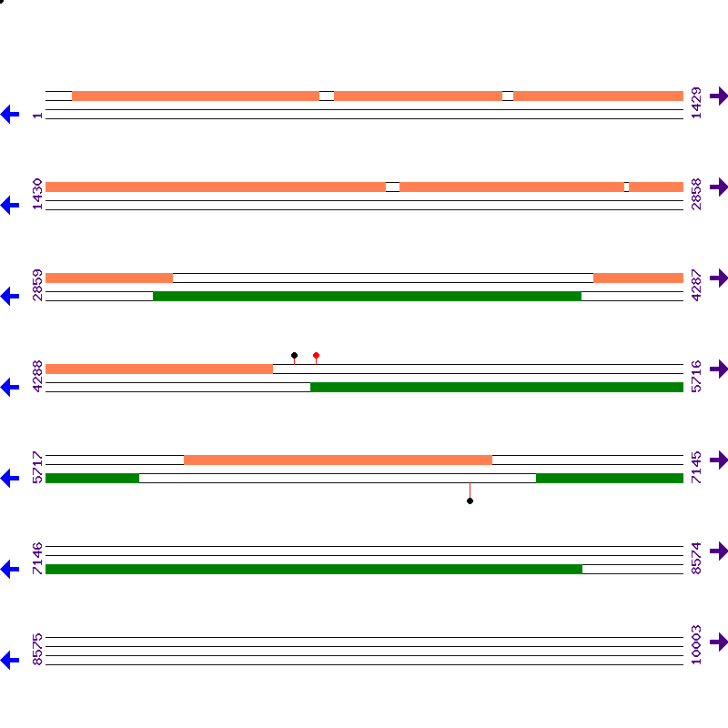 Genome View