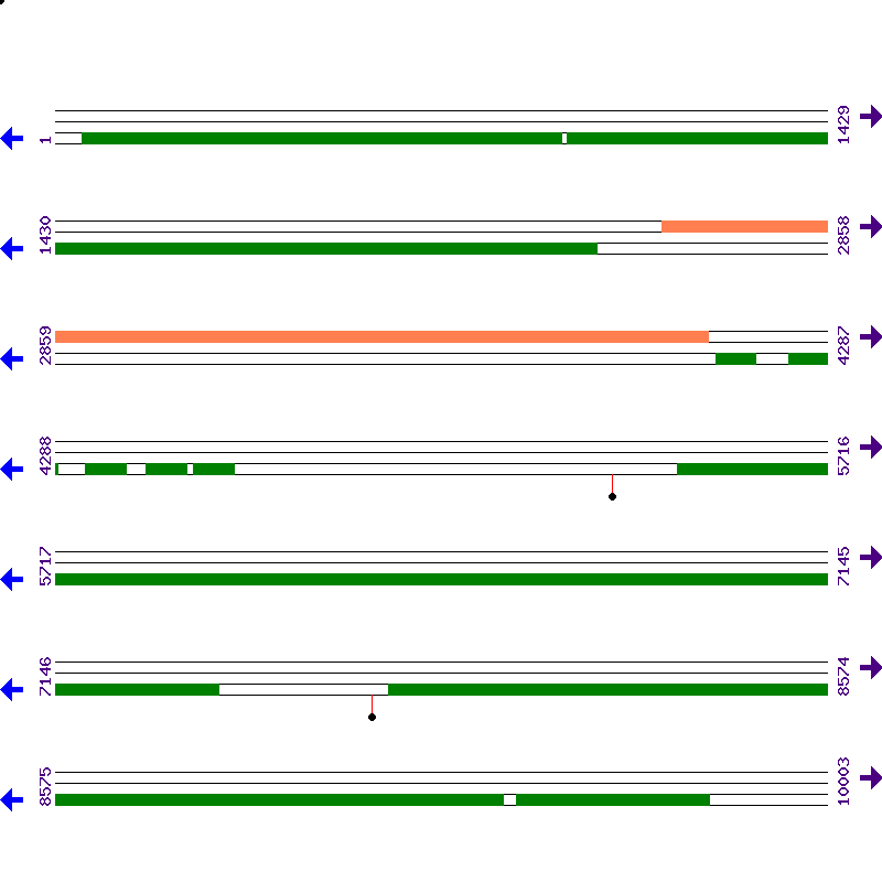 Genome View