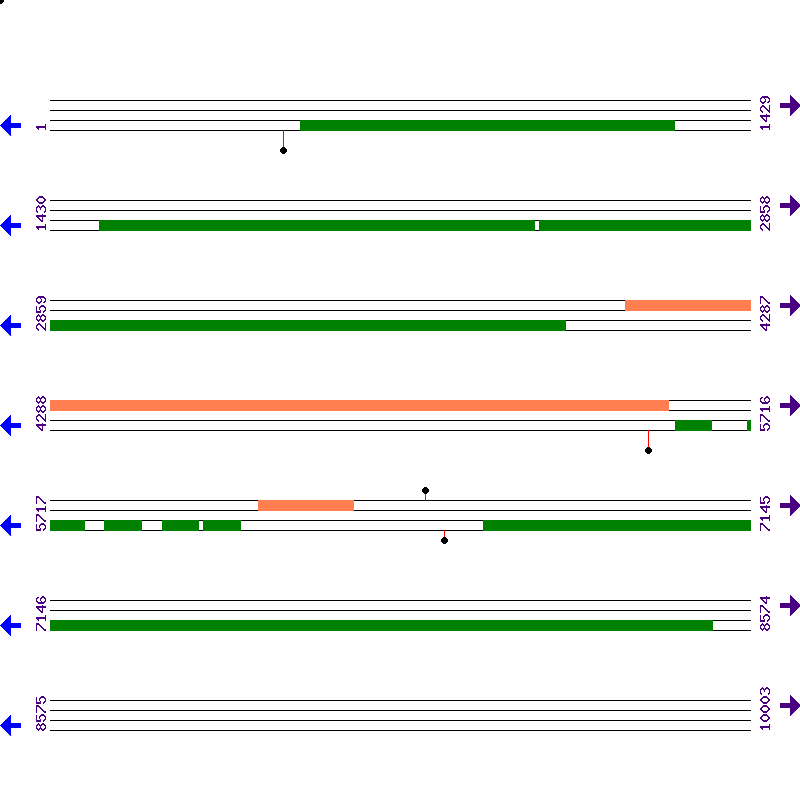 Genome View