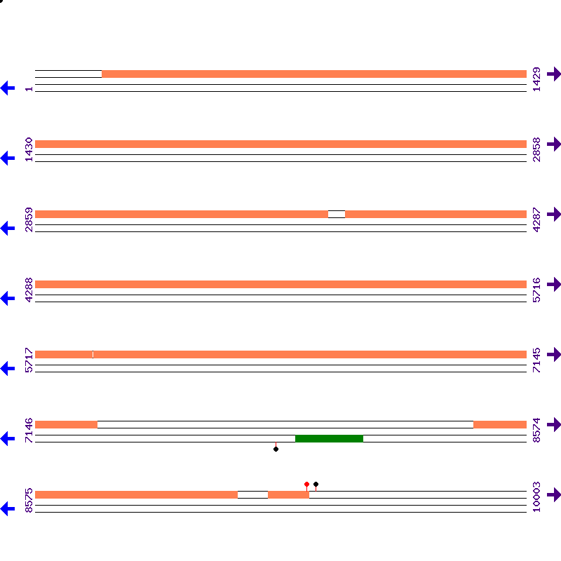 Genome View