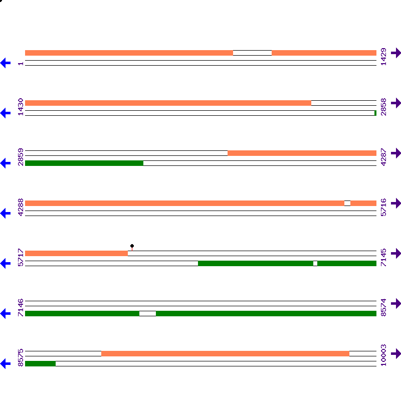 Genome View