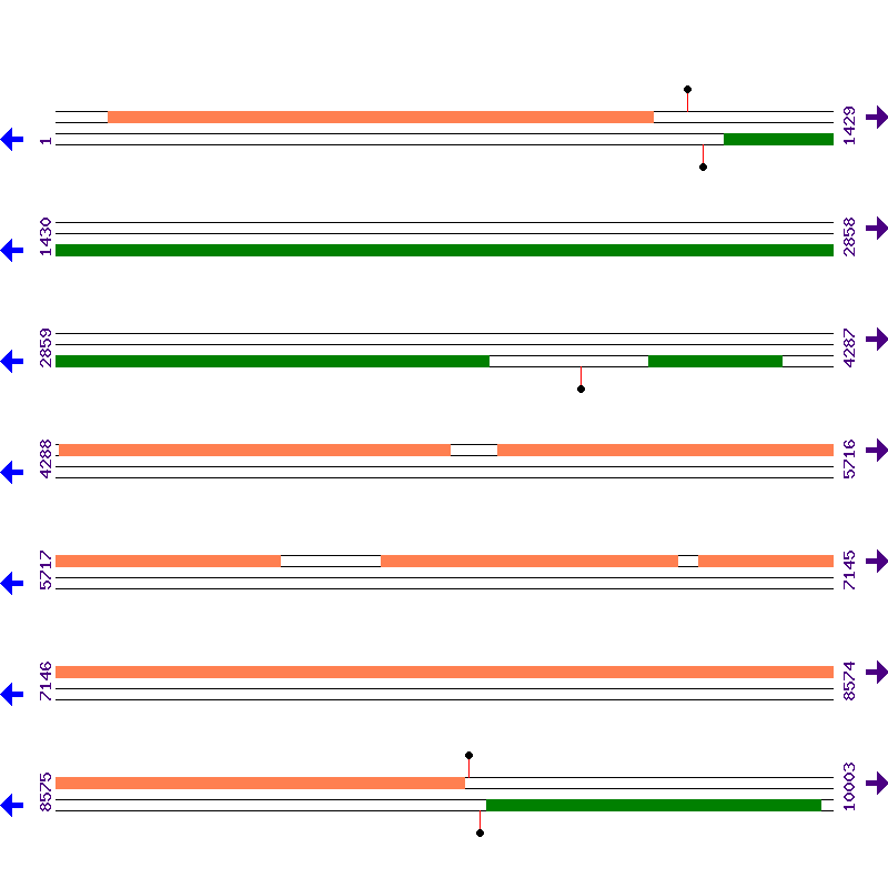 Genome View