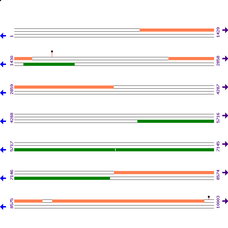 Genome View