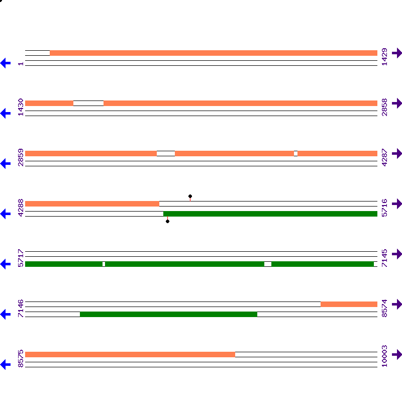 Genome View