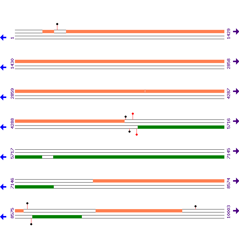 Genome View