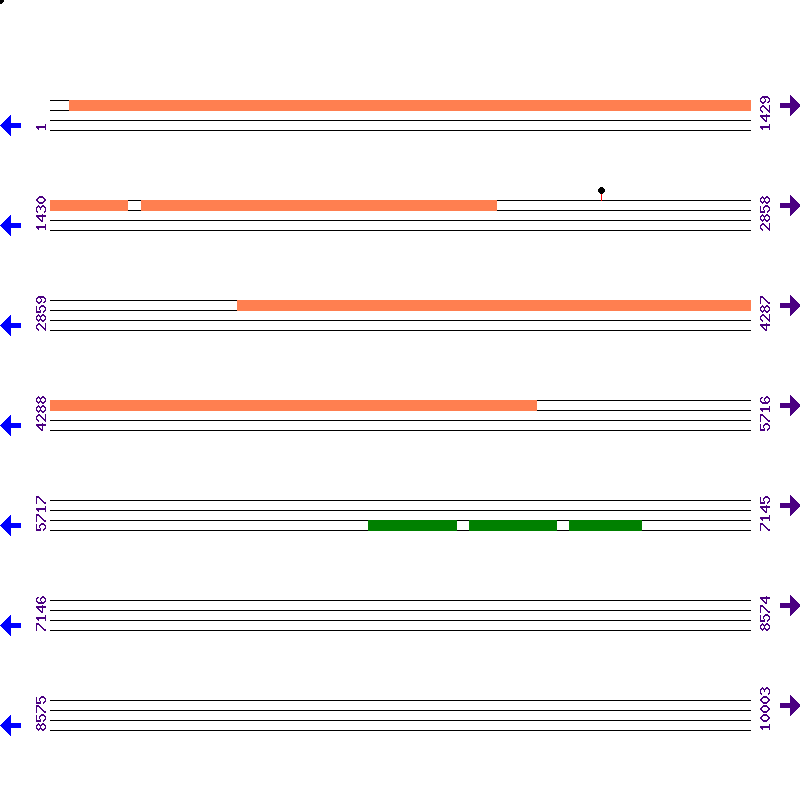 Genome View