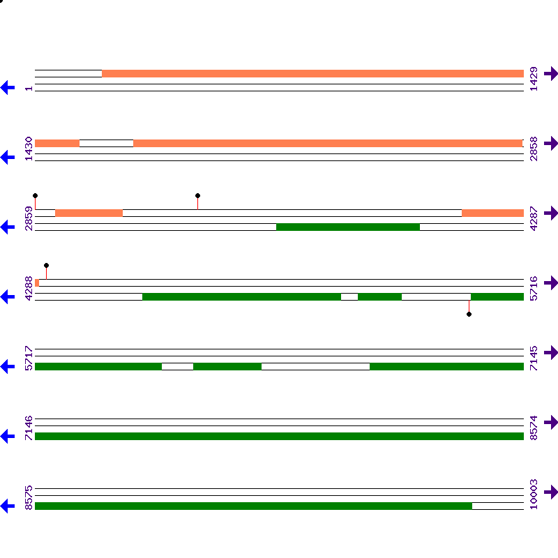 Genome View