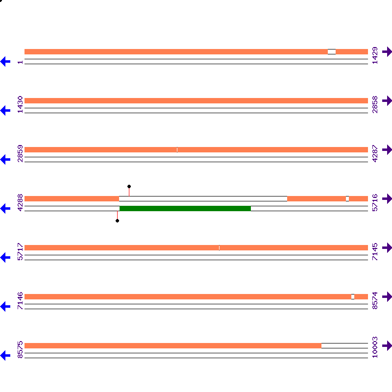 Genome View