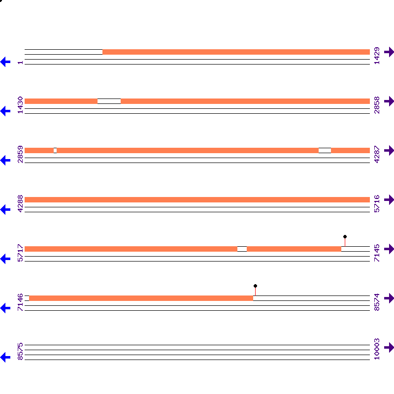 Genome View
