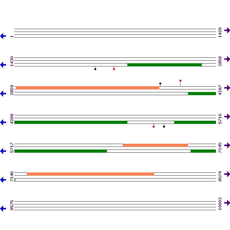 Genome View