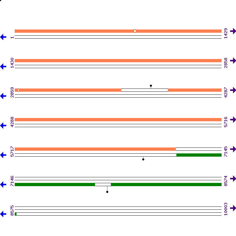 Genome View