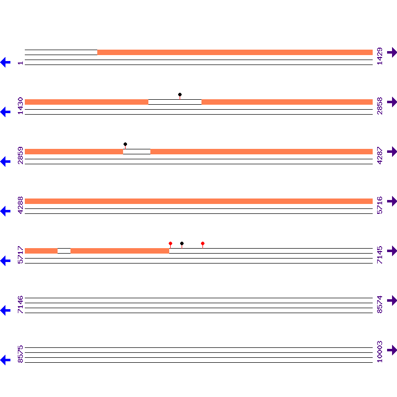 Genome View