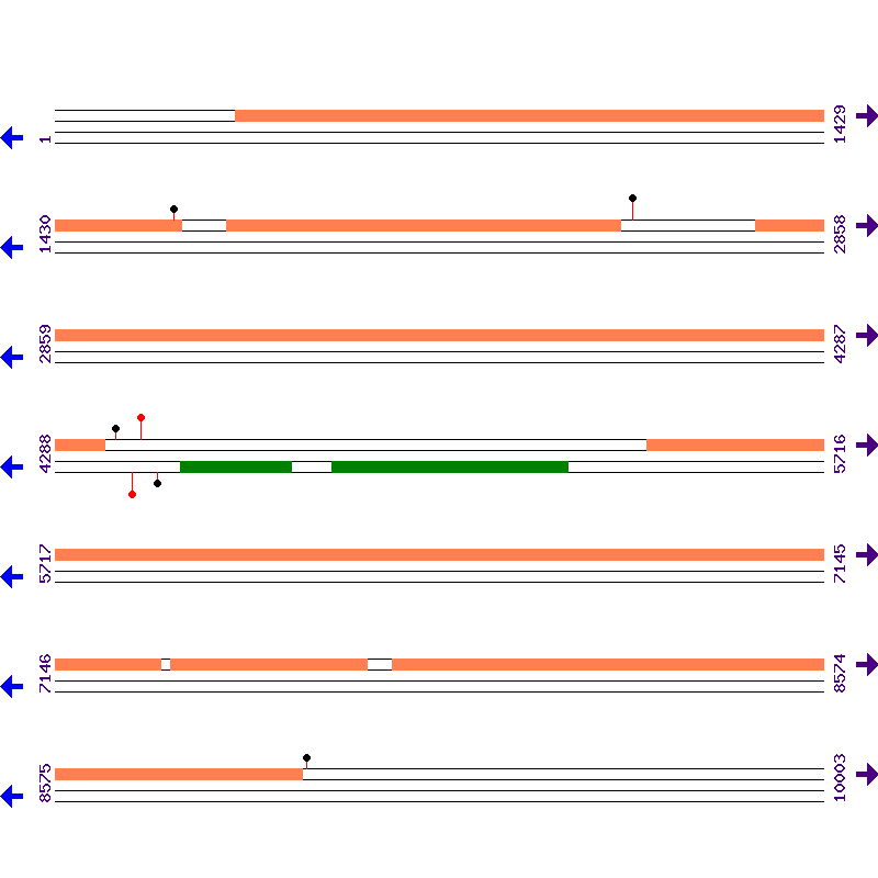 Genome View