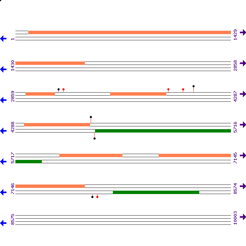 Genome View