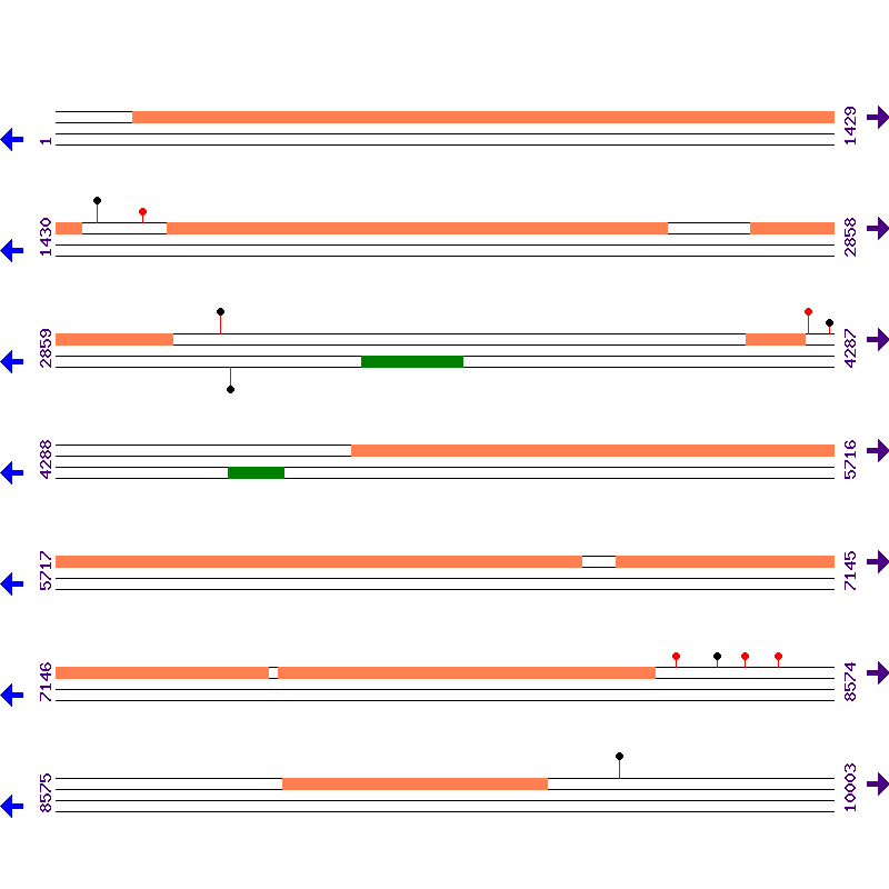 Genome View