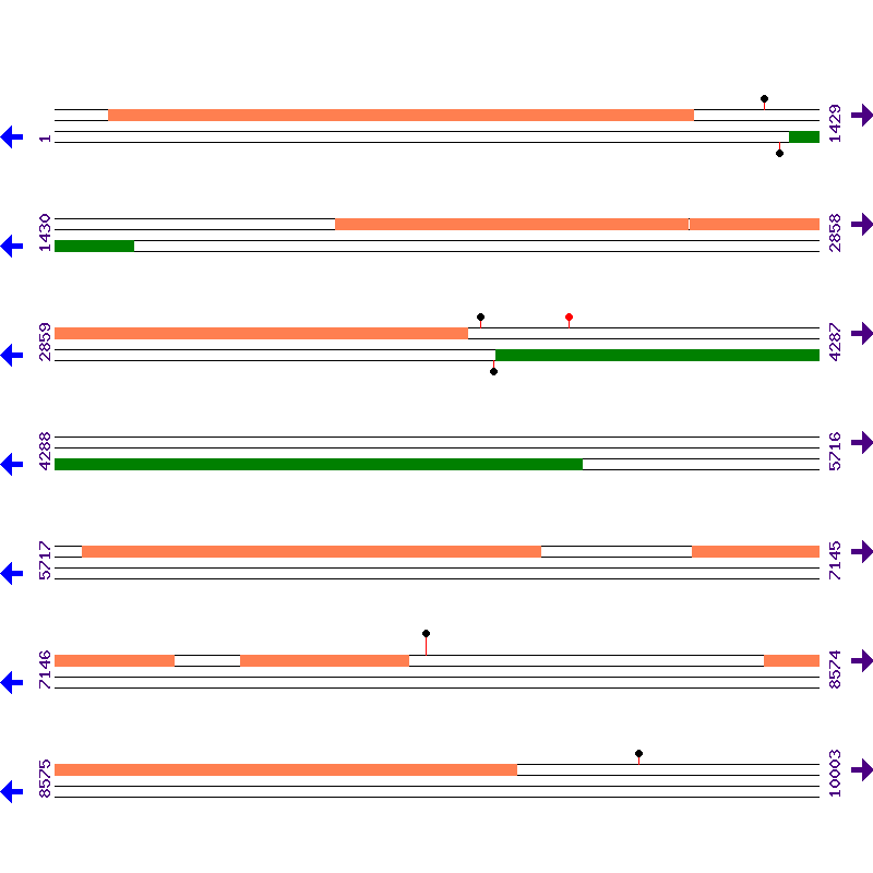 Genome View