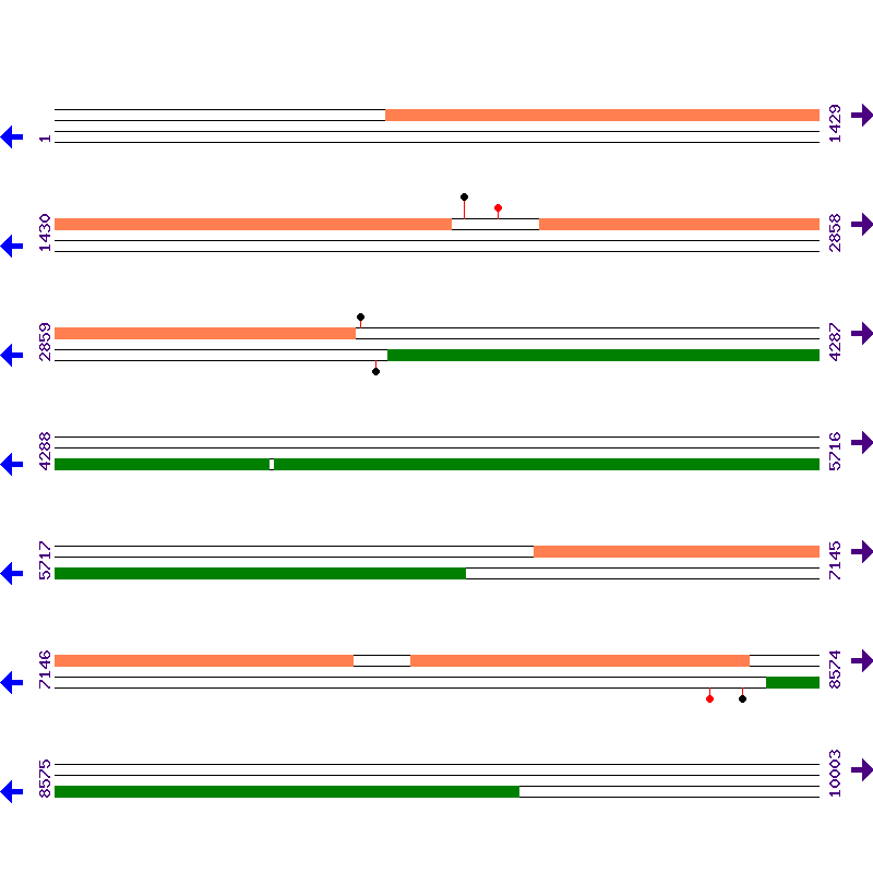 Genome View