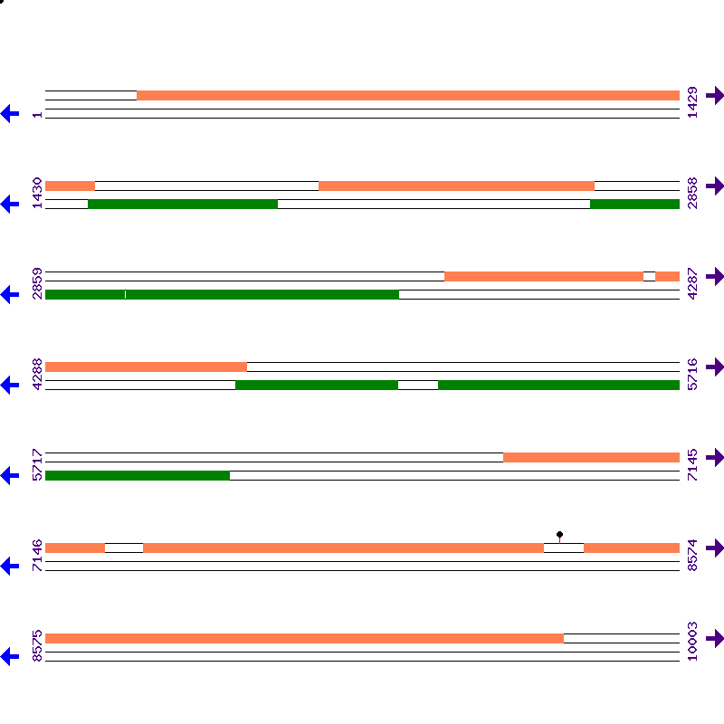 Genome View