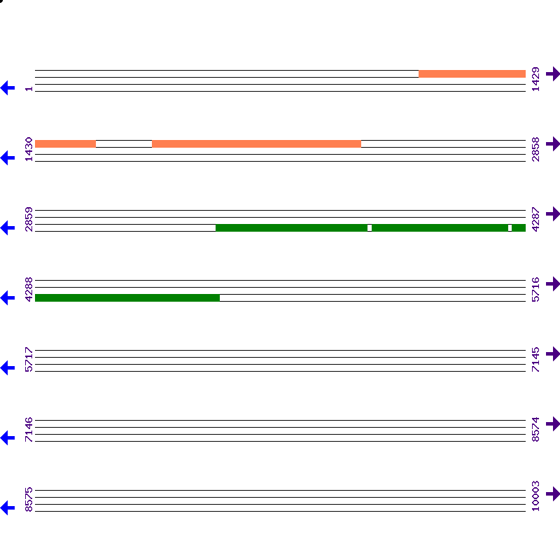 Genome View