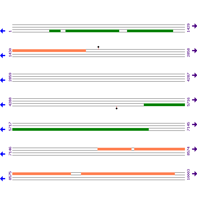Genome View