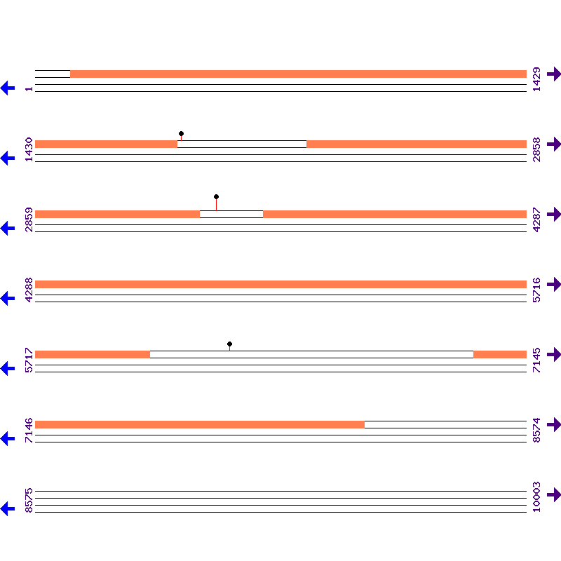 Genome View