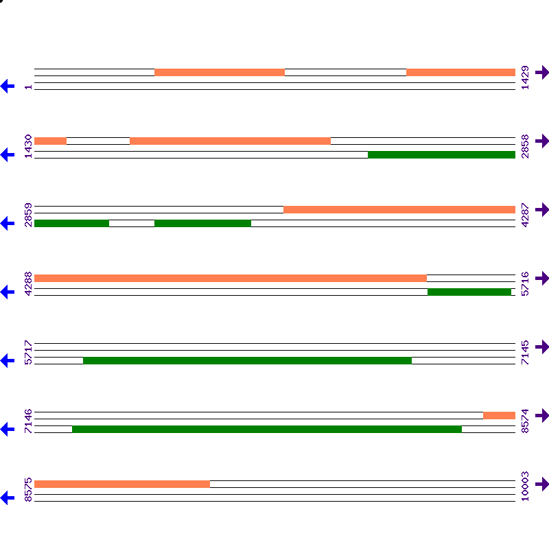Genome View