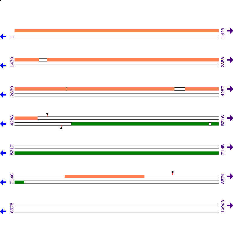Genome View
