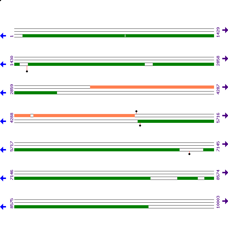 Genome View