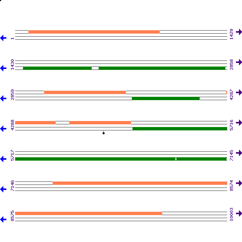 Genome View
