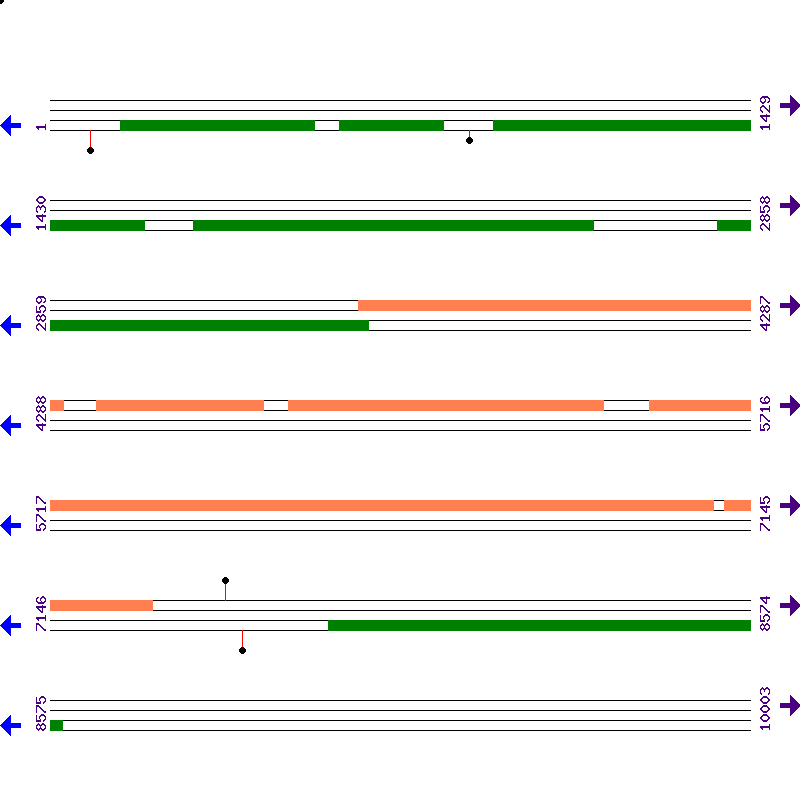 Genome View